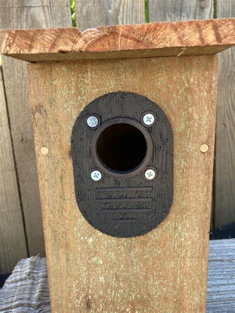 metal protectors for bird boxes|blue bird house predator guard.